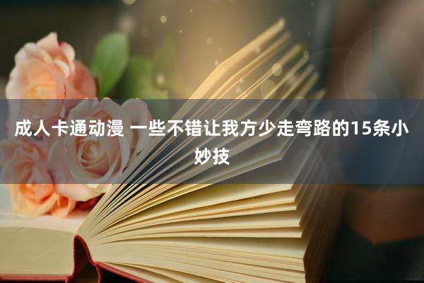 成人卡通动漫 一些不错让我方少走弯路的15条小妙技