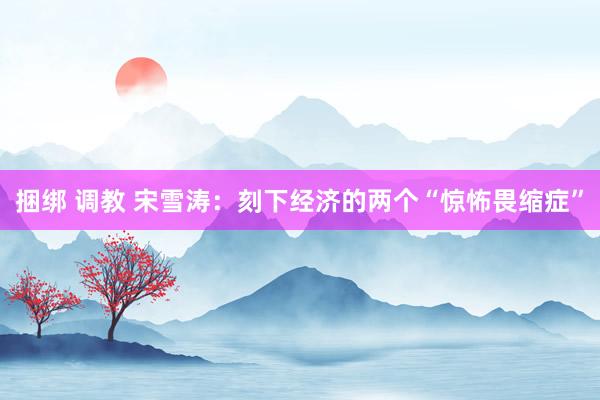 捆绑 调教 宋雪涛：刻下经济的两个“惊怖畏缩症”