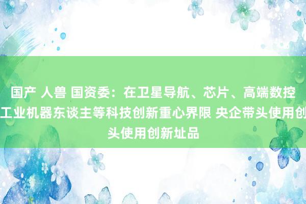 国产 人兽 国资委：在卫星导航、芯片、高端数控机床、工业机器东谈主等科技创新重心界限 央企带头使用创新址品