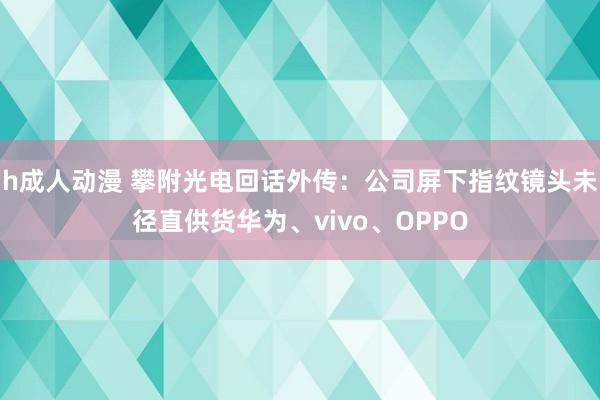 h成人动漫 攀附光电回话外传：公司屏下指纹镜头未径直供货华为、vivo、OPPO