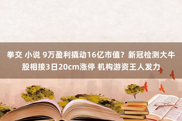 拳交 小说 9万盈利撬动16亿市值？新冠检测大牛股相接3日20cm涨停 机构游资王人发力