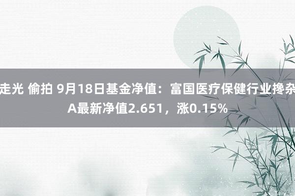 走光 偷拍 9月18日基金净值：富国医疗保健行业搀杂A最新净值2.651，涨0.15%