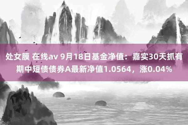 处女膜 在线av 9月18日基金净值：嘉实30天抓有期中短债债券A最新净值1.0564，涨0.04%