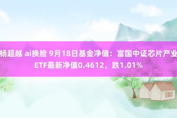 杨超越 ai换脸 9月18日基金净值：富国中证芯片产业ETF最新净值0.4612，跌1.01%