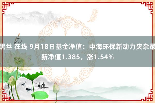 黑丝 在线 9月18日基金净值：中海环保新动力夹杂最新净值1.385，涨1.54%