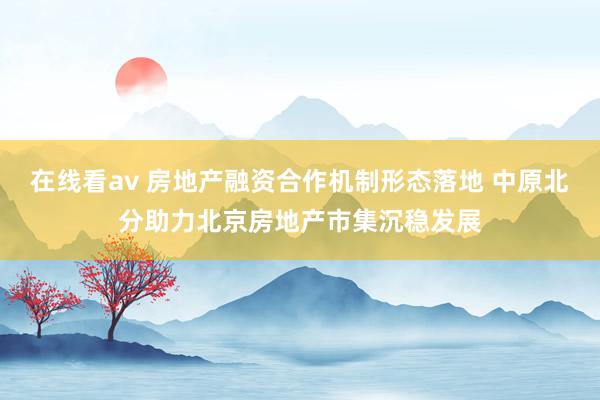 在线看av 房地产融资合作机制形态落地 中原北分助力北京房地产市集沉稳发展