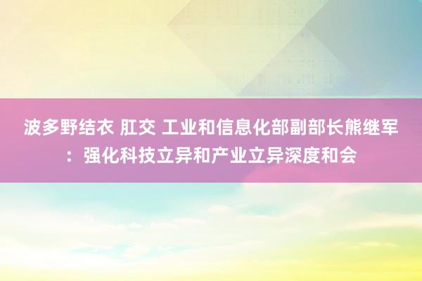 波多野结衣 肛交 工业和信息化部副部长熊继军：强化科技立异和产业立异深度和会