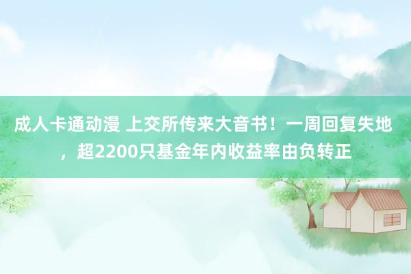 成人卡通动漫 上交所传来大音书！一周回复失地 ，超2200只基金年内收益率由负转正