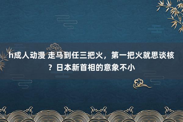 h成人动漫 走马到任三把火，第一把火就思谈核？日本新首相的意象不小