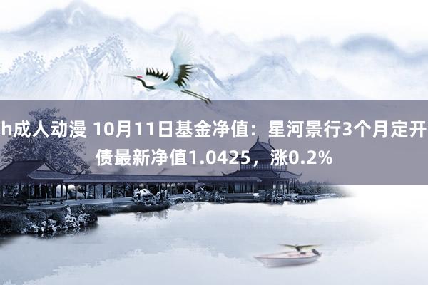 h成人动漫 10月11日基金净值：星河景行3个月定开债最新净值1.0425，涨0.2%