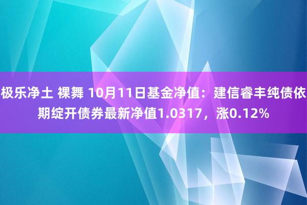 极乐净土 裸舞 10月11日基金净值：建信睿丰纯债依期绽开债券最新净值1.0317，涨0.12%