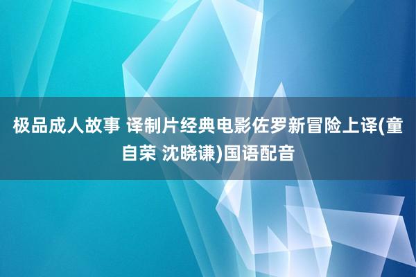 极品成人故事 译制片经典电影佐罗新冒险上译(童自荣 沈晓谦)国语配音