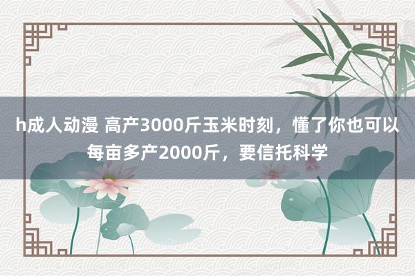 h成人动漫 高产3000斤玉米时刻，懂了你也可以每亩多产2000斤，要信托科学