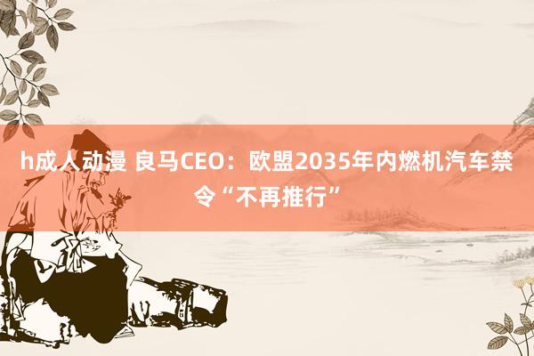 h成人动漫 良马CEO：欧盟2035年内燃机汽车禁令“不再推行”