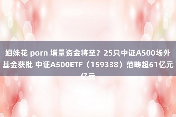 姐妹花 porn 增量资金将至？25只中证A500场外基金获批 中证A500ETF（159338）范畴超61亿元