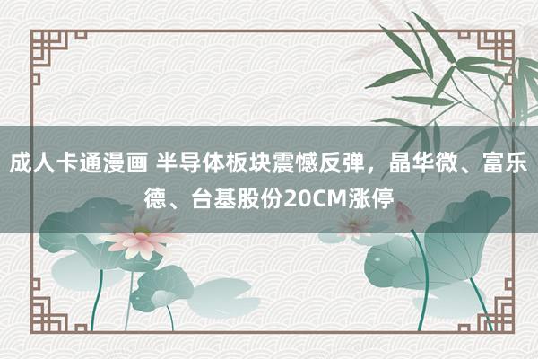 成人卡通漫画 半导体板块震憾反弹，晶华微、富乐德、台基股份20CM涨停