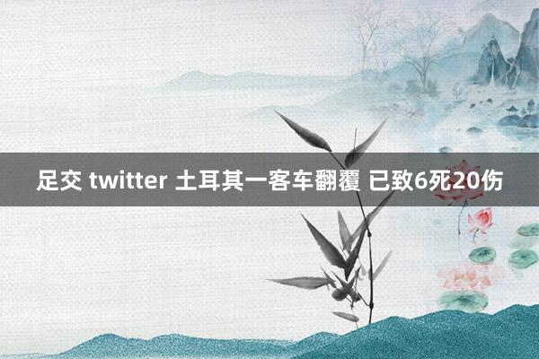 足交 twitter 土耳其一客车翻覆 已致6死20伤