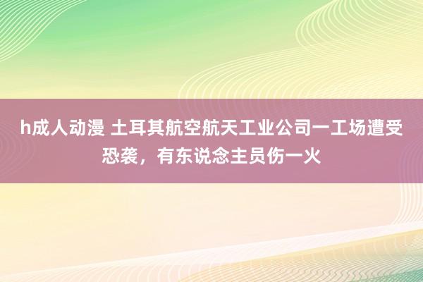 h成人动漫 土耳其航空航天工业公司一工场遭受恐袭，有东说念主员伤一火