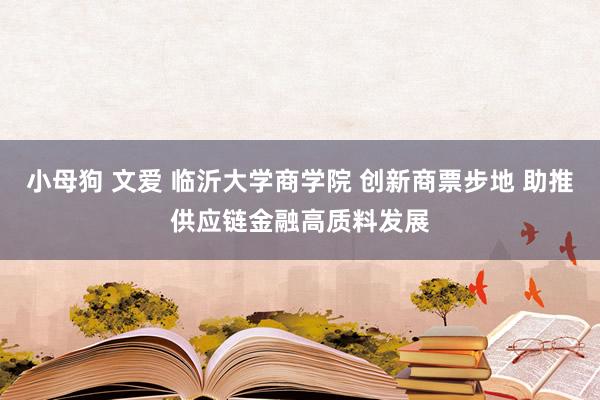 小母狗 文爱 临沂大学商学院 创新商票步地 助推供应链金融高质料发展