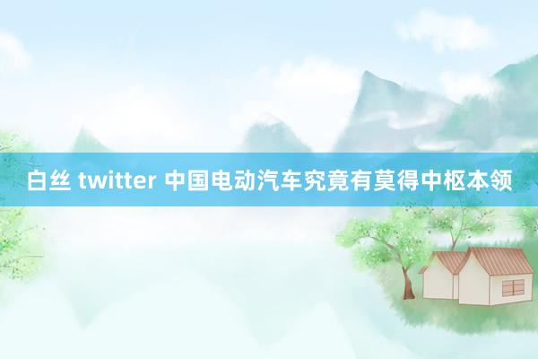 白丝 twitter 中国电动汽车究竟有莫得中枢本领