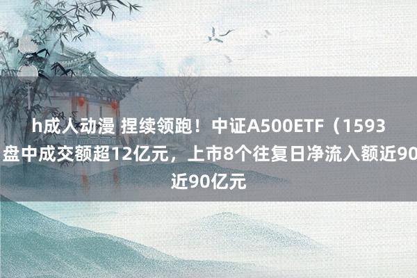 h成人动漫 捏续领跑！中证A500ETF（159338）盘中成交额超12亿元，上市8个往复日净流入额近90亿元