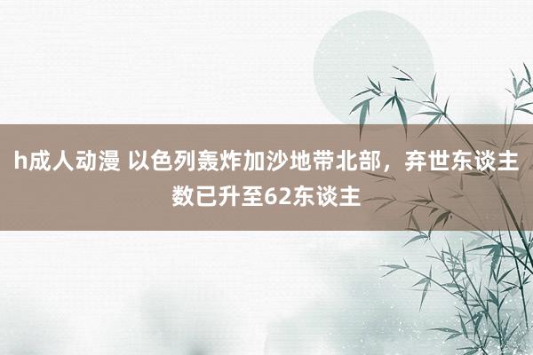 h成人动漫 以色列轰炸加沙地带北部，弃世东谈主数已升至62东谈主