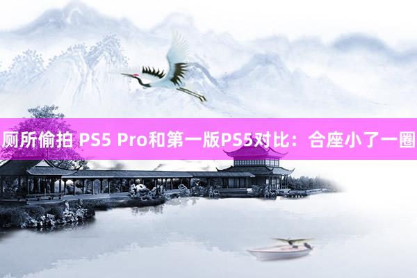 厕所偷拍 PS5 Pro和第一版PS5对比：合座小了一圈