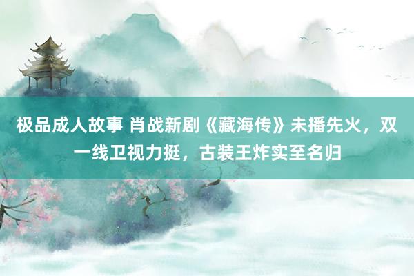 极品成人故事 肖战新剧《藏海传》未播先火，双一线卫视力挺，古装王炸实至名归