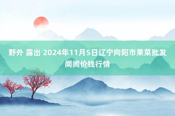 野外 露出 2024年11月5日辽宁向阳市果菜批发阛阓价钱行情