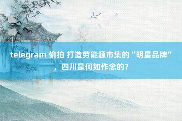 telegram 偷拍 打造劳能源市集的“明星品牌”，四川是何如作念的？