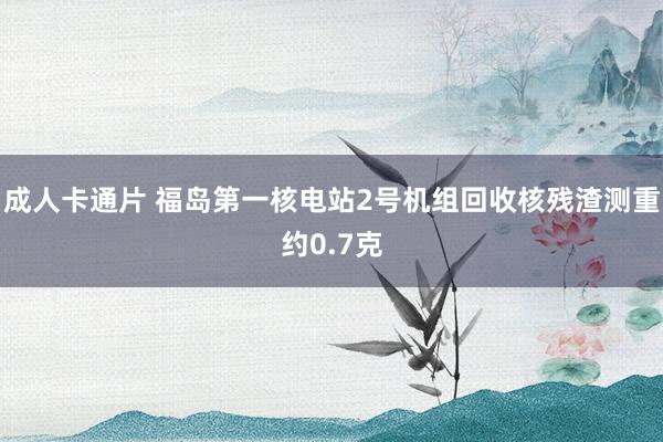 成人卡通片 福岛第一核电站2号机组回收核残渣测重约0.7克