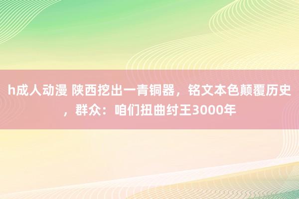 h成人动漫 陕西挖出一青铜器，铭文本色颠覆历史，群众：咱们扭曲纣王3000年