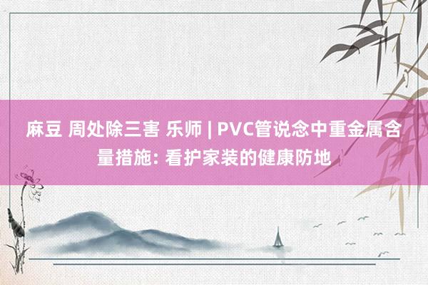 麻豆 周处除三害 乐师 | PVC管说念中重金属含量措施: 看护家装的健康防地