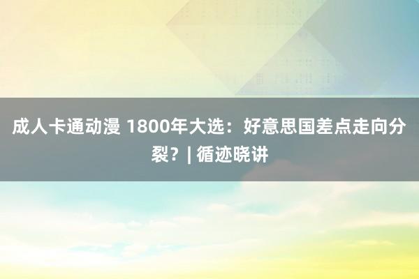 成人卡通动漫 1800年大选：好意思国差点走向分裂？| 循迹晓讲