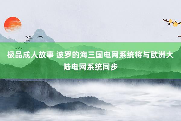 极品成人故事 波罗的海三国电网系统将与欧洲大陆电网系统同步