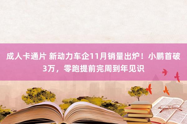 成人卡通片 新动力车企11月销量出炉！小鹏首破3万，零跑提前完周到年见识