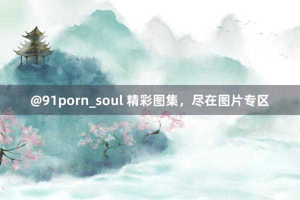 @91porn_soul 精彩图集，尽在图片专区