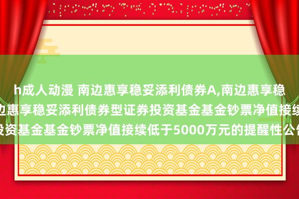 h成人动漫 南边惠享稳妥添利债券A，南边惠享稳妥添利债券C: 对于南边惠享稳妥添利债券型证券投资基金基金钞票净值接续低于5000万元的提醒性公告