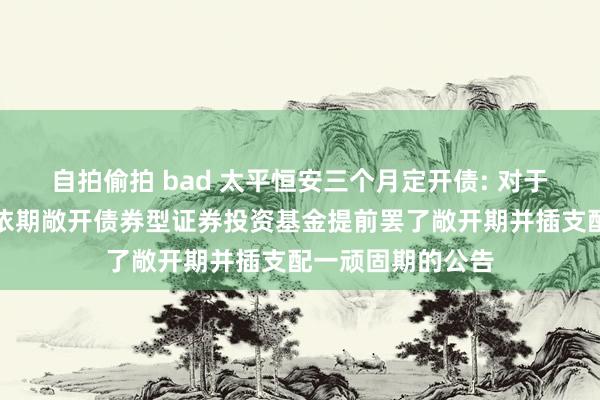 自拍偷拍 bad 太平恒安三个月定开债: 对于太平恒安三个月依期敞开债券型证券投资基金提前罢了敞开期并插支配一顽固期的公告