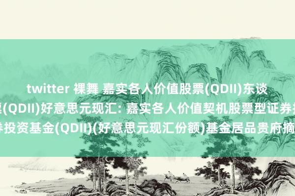 twitter 裸舞 嘉实各人价值股票(QDII)东谈主民币，嘉实各人价值股票(QDII)好意思元现汇: 嘉实各人价值契机股票型证券投资基金(QDII)(好意思元现汇份额)基金居品贵府摘抄更新(2024年12月05日)