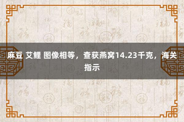 麻豆 艾鲤 图像相等，查获燕窝14.23千克，海关指示