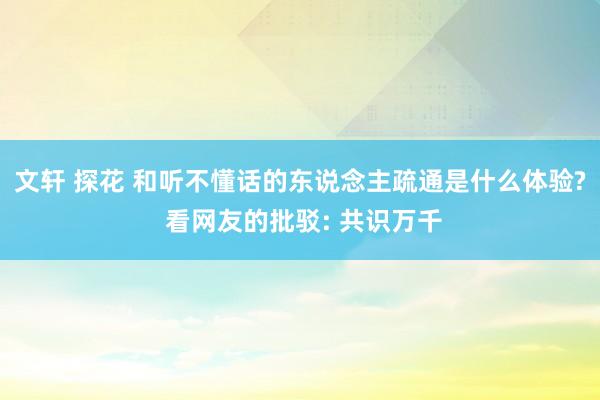 文轩 探花 和听不懂话的东说念主疏通是什么体验? 看网友的批驳: 共识万千