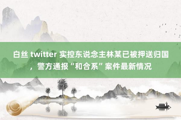 白丝 twitter 实控东说念主林某已被押送归国，警方通报“和合系”案件最新情况