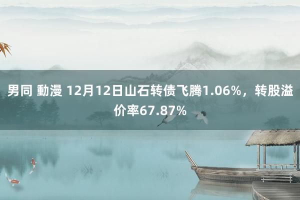 男同 動漫 12月12日山石转债飞腾1.06%，转股溢价率67.87%