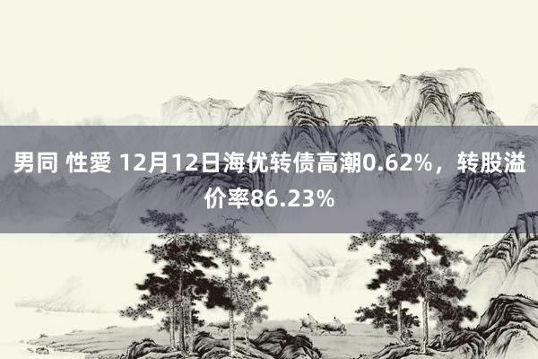 男同 性愛 12月12日海优转债高潮0.62%，转股溢价率86.23%