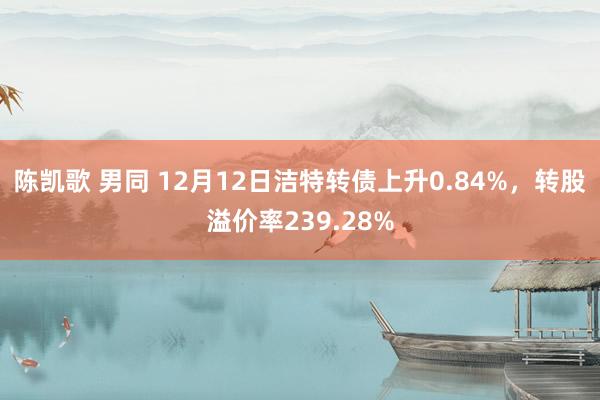 陈凯歌 男同 12月12日洁特转债上升0.84%，转股溢价率239.28%