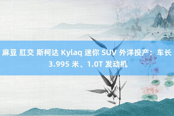 麻豆 肛交 斯柯达 Kylaq 迷你 SUV 外洋投产：车长 3.995 米、1.0T 发动机