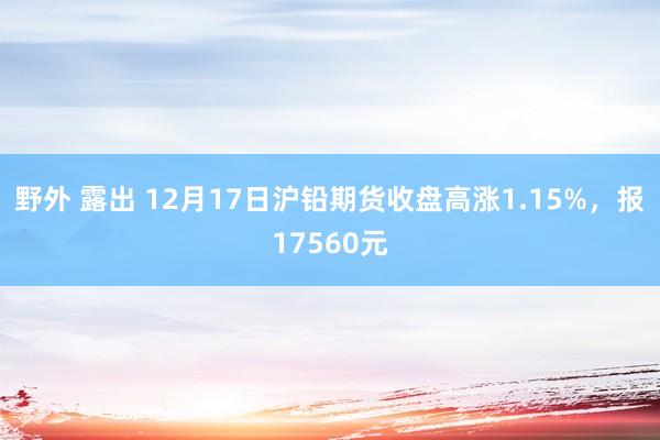 野外 露出 12月17日沪铅期货收盘高涨1.15%，报17560元