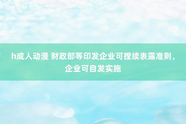 h成人动漫 财政部等印发企业可捏续表露准则，企业可自发实施