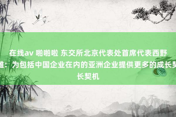 在线av 啪啪啦 东交所北京代表处首席代表西野昭雄：为包括中国企业在内的亚洲企业提供更多的成长契机